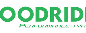 GOODRIDE 215/45/R17 91W XL Z-107